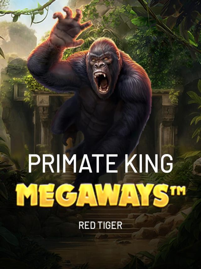 Descubra o Mundo da Apostas com a kk4 bet⭐️